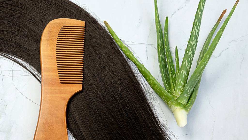 Babosa para o cabelo: conheça este poderoso ativo